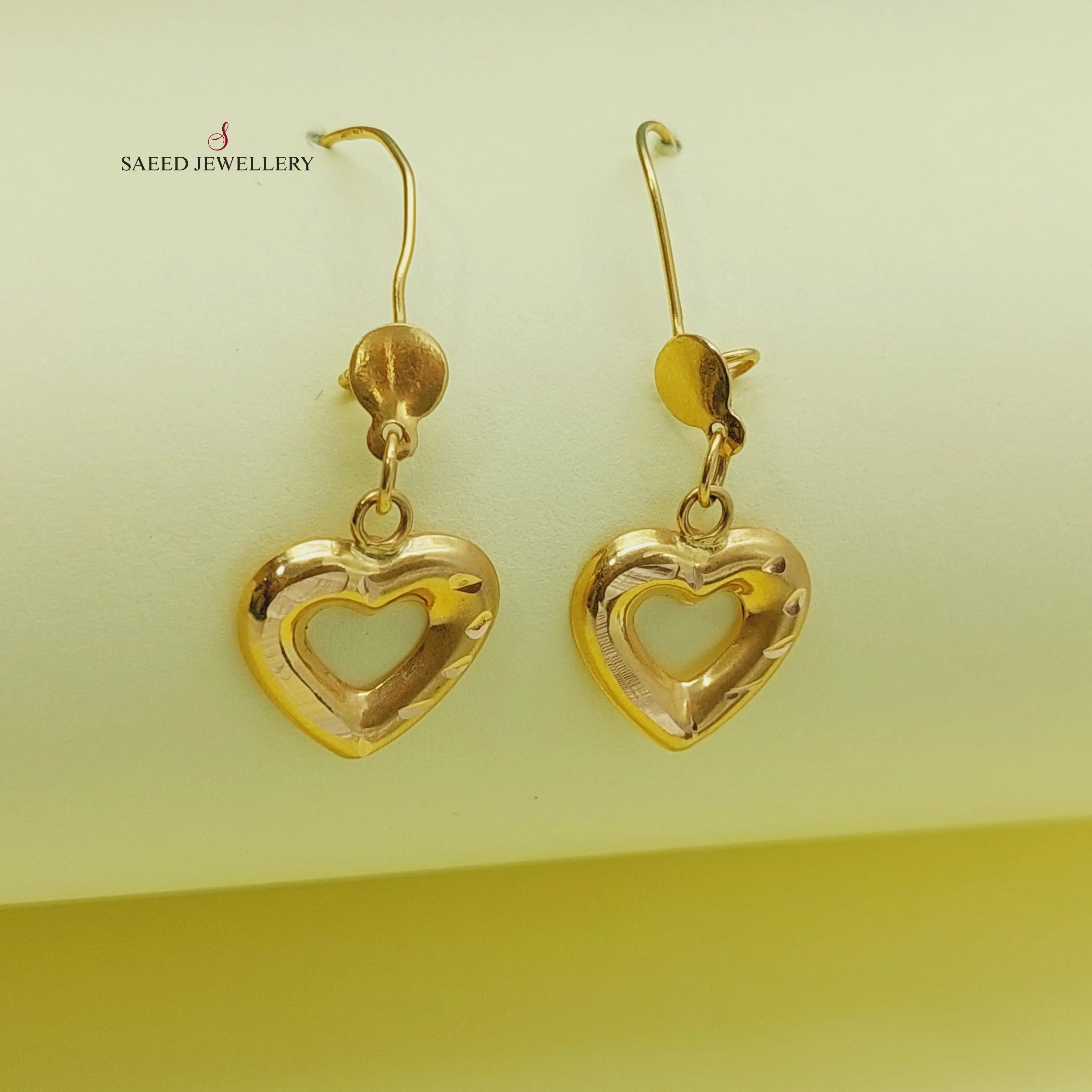 Ankletic Earrings