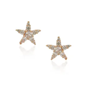 Dainty Rose Plated  Zircon Star Studs