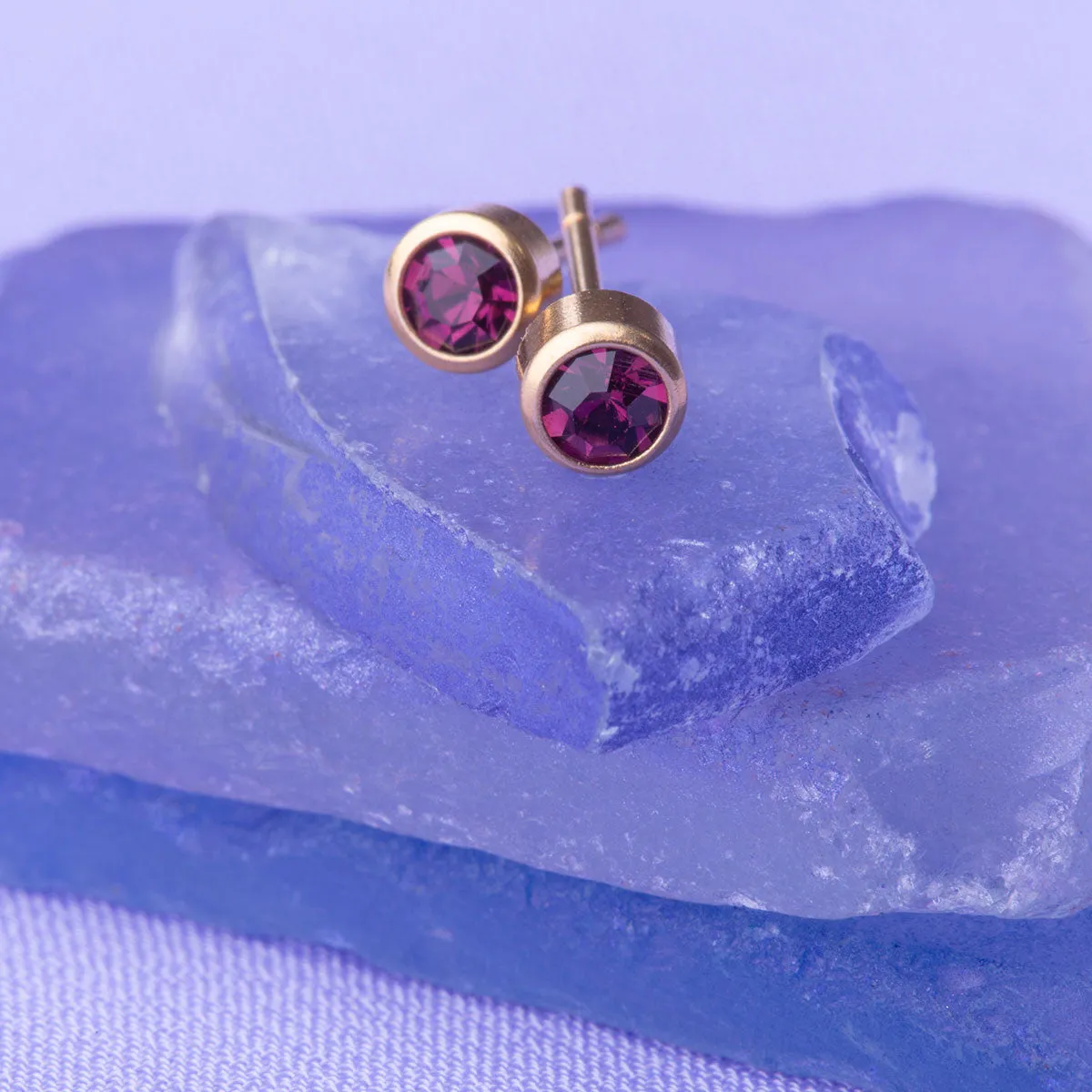 February Birthstone 14k Gold Plated Earrings