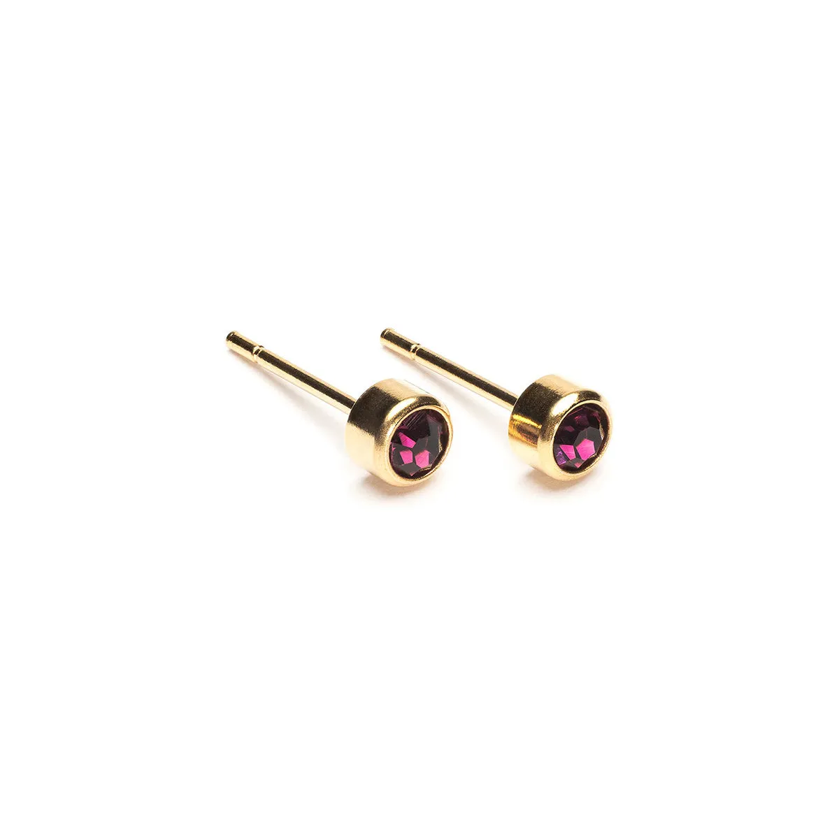 February Birthstone 14k Gold Plated Earrings