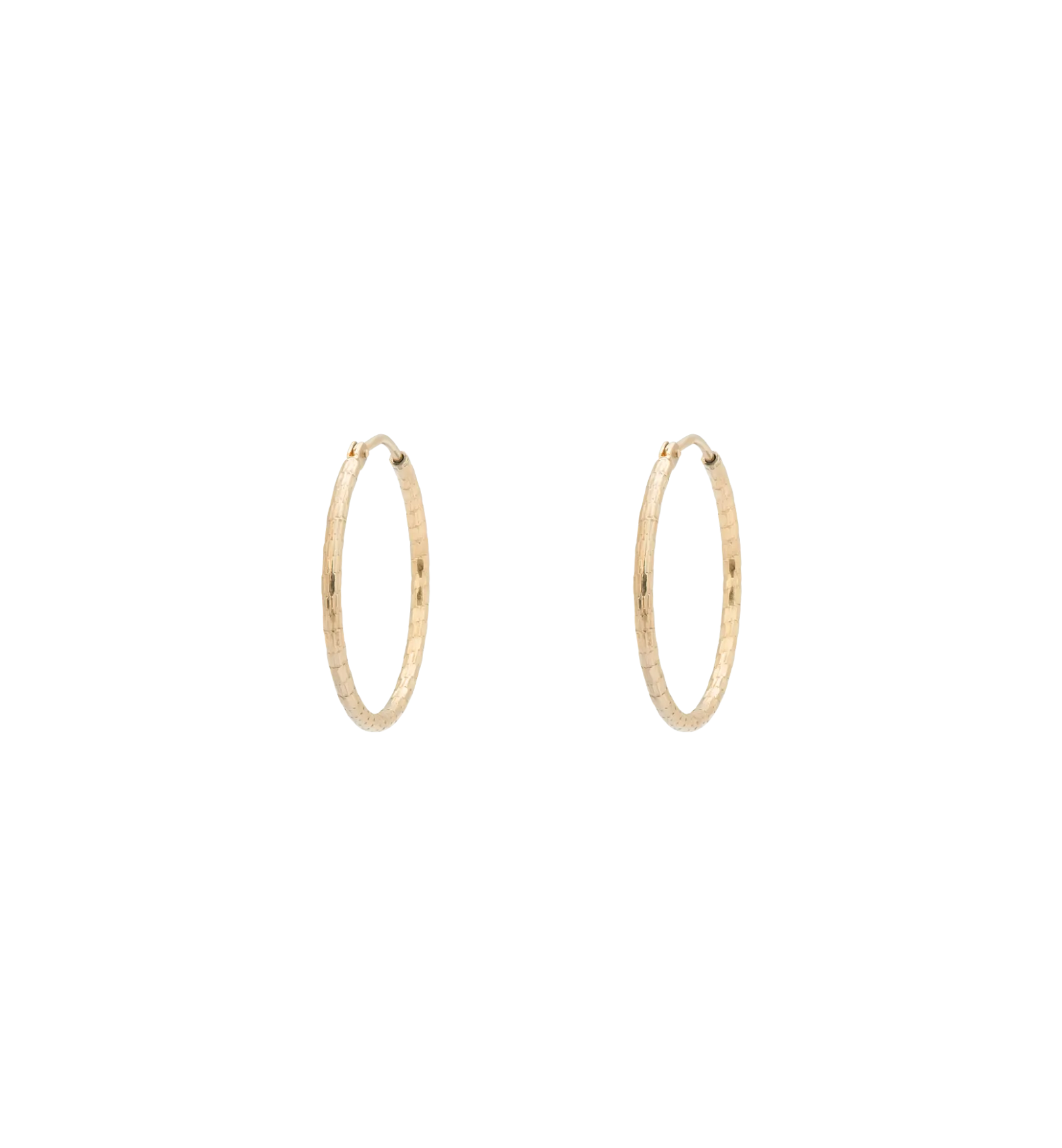 Hammered Plain Hoop Earrings