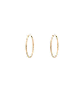 Hammered Plain Hoop Earrings